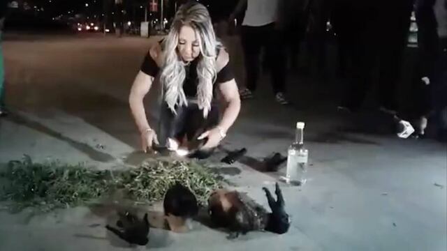 Bruja Zulema