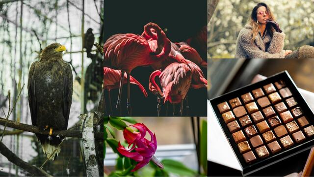 Efemérides del 10 de enero