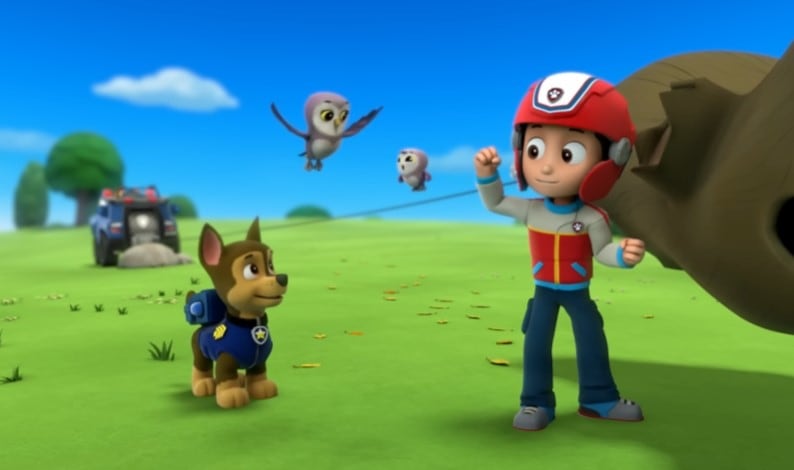 Paw Patrol salva a un búho y otros animales bebés
