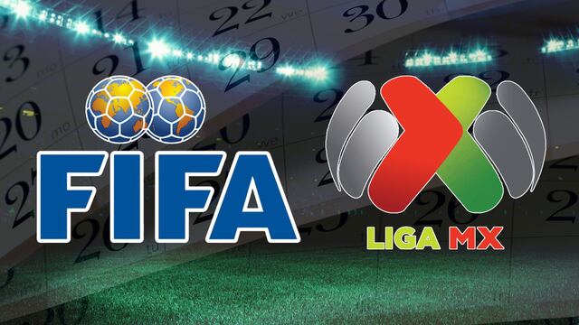 Nuevo parón internacional por Fecha FIFA; ¿Cuándo regresa la Liga MX?