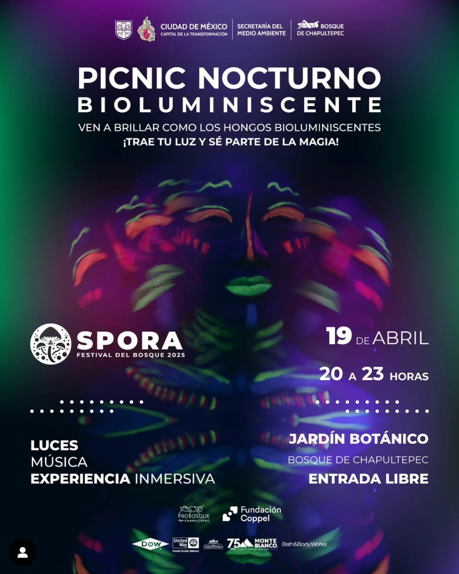 Picnic nocturno en Bosque de Chapultepec