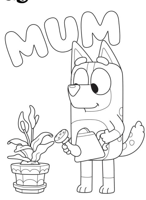Chilli con sus plantas en el Día de las Madres