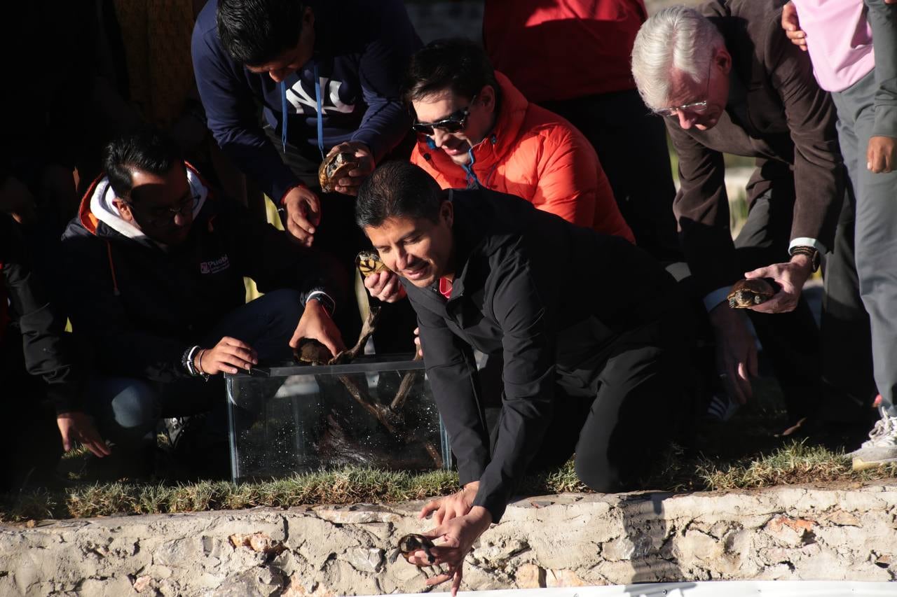 Alcalde asistió a la inauguración del Bosque del Ajolote Puebla