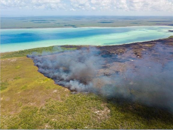 Incendio en Quintana Roo, México.