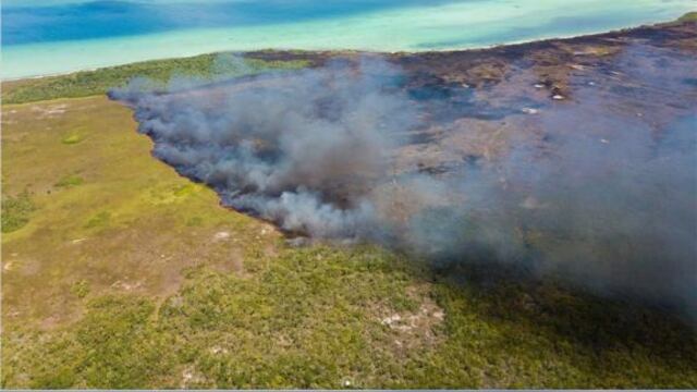 Incendio en Quintana Roo, México.