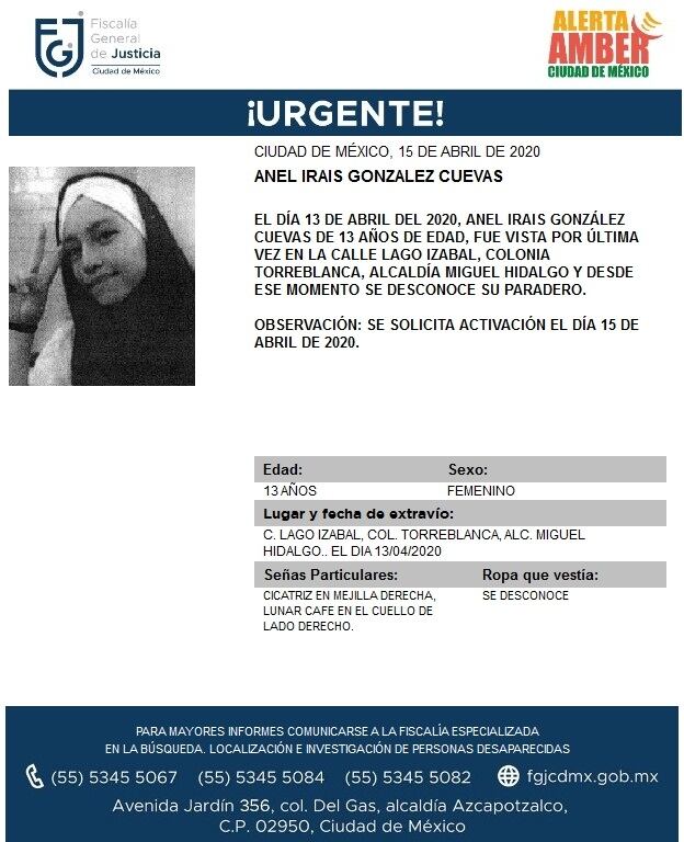 Ficha de búsqueda de Anel.