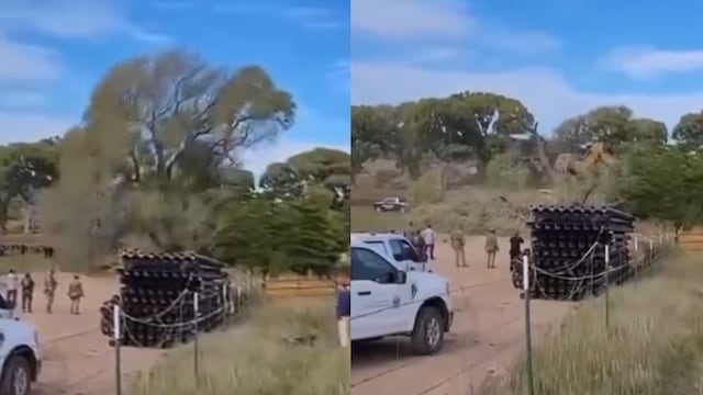 Derriban árbol de 250 años para avanzar con muro fronterizo en Arizona