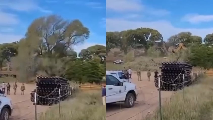 Derriban árbol de 250 años para avanzar con muro fronterizo en Arizona
