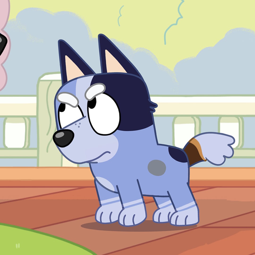 Bluey: Nombres y cómo se ve cada uno de los personajes para que los identifiques