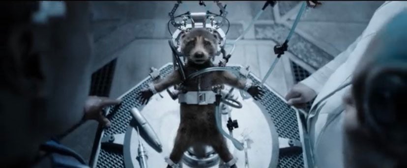 Rocket Raccoon chiquito aparece en Guardianes de la Galaxia 3