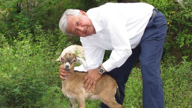 AMLO pide revisar sanciones por maltrato animal