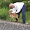 AMLO pide revisar sanciones por maltrato animal ante perro asesinado en cazo con aceite hirviendo
