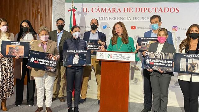 Melissa Vargas, diputada del PRI, presenta iniciativa