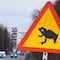 Ranas y sapos detienen el tránsito en Estonia