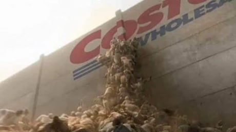 Las filas eternas en Costco por Navidad que se volvieron memes