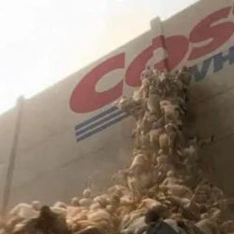 Las filas eternas en Costco por Navidad que se volvieron memes