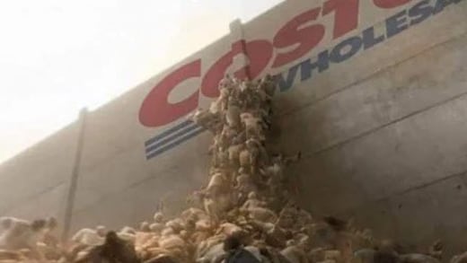 Las filas eternas en Costco por Navidad que se volvieron memes