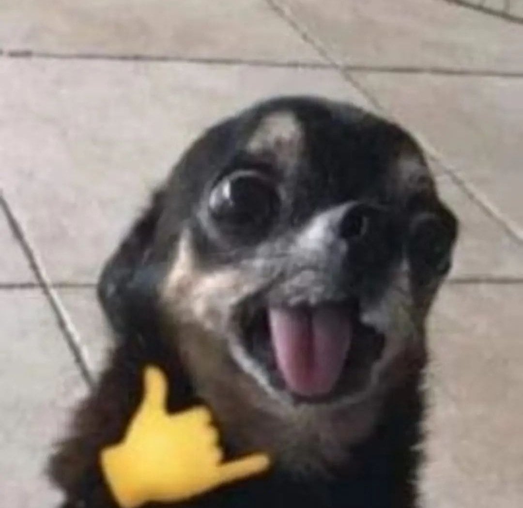 Memes "de chill",  frase tendencia en TikTok