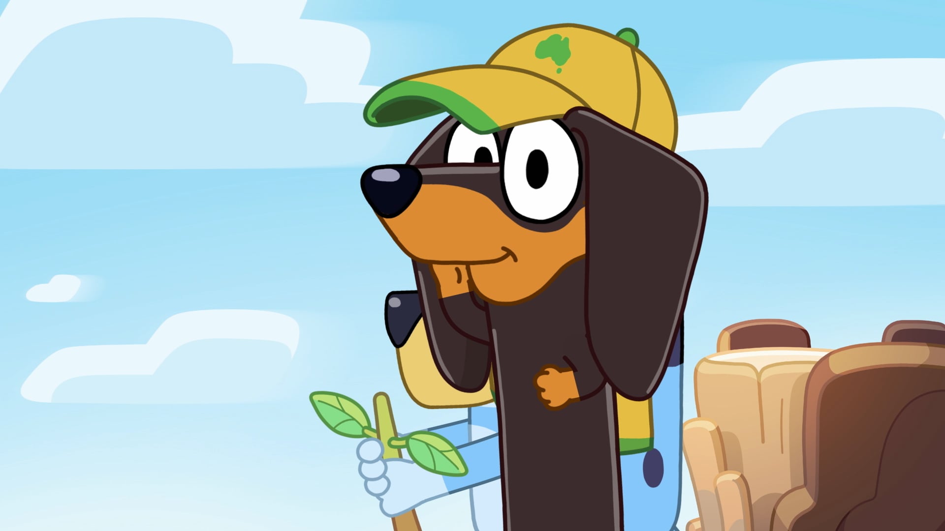 Bluey: Nombres y cómo se ve cada uno de los personajes para que los identifiques
