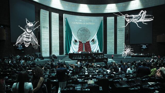 Sesión en la Cámara de Diputados