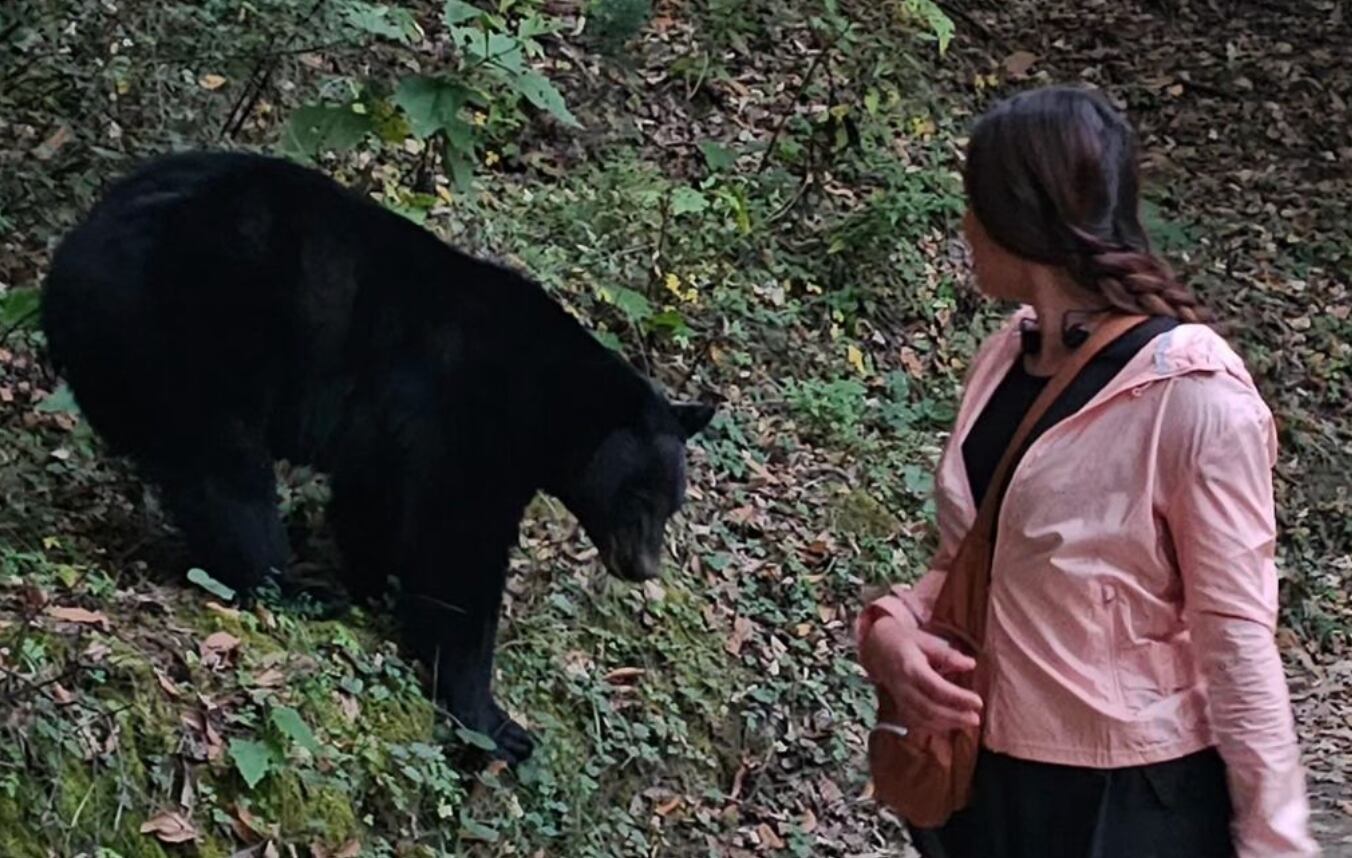 Oso negro persigue a una mujer mientras corría en Chipinque