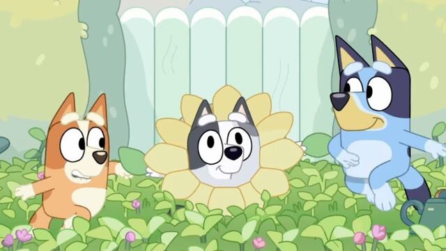 Bluey y Bingo en primavera
