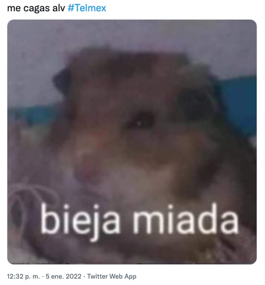 Meme de la caída de Infinitum de Telmex