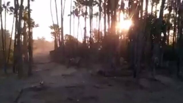 Derriban Palmares en San José del Cabo