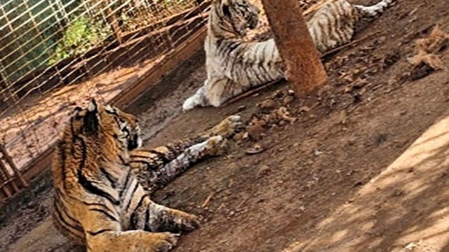Zoológico casa Jamay