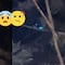 VIDEO: Una cosa de ojos brillantes anda asustando en TikTok porque nadie entiende qué es