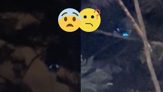 VIDEO: Una cosa de ojos brillantes anda asustando en TikTok porque nadie entiende qué es