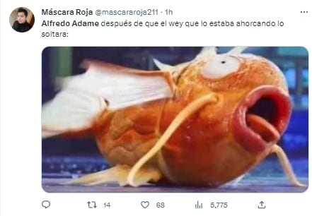 Memes pelea de Alfredo Adame