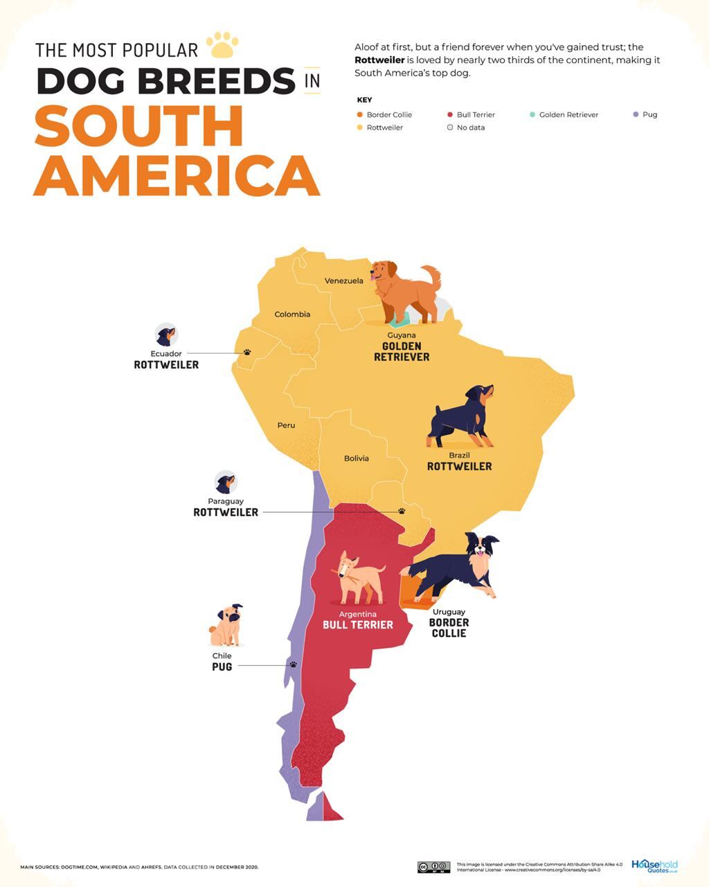Razas de perro en América