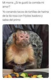 Meme de George, el mono