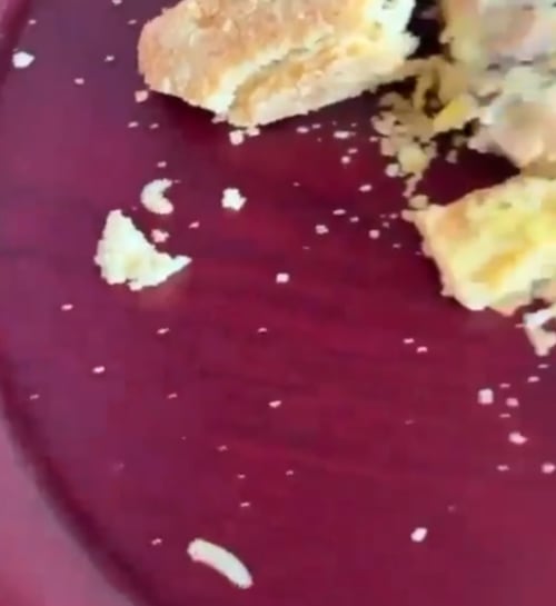 Pan de Boulenc, panadería de Oaxaca, está lleno de gusanos