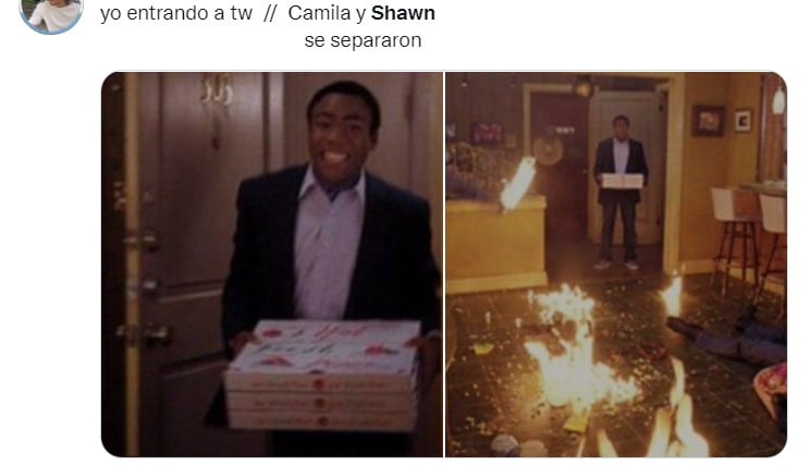Memes sobre la ruptura de Camila Cabello y Shawn Mendes