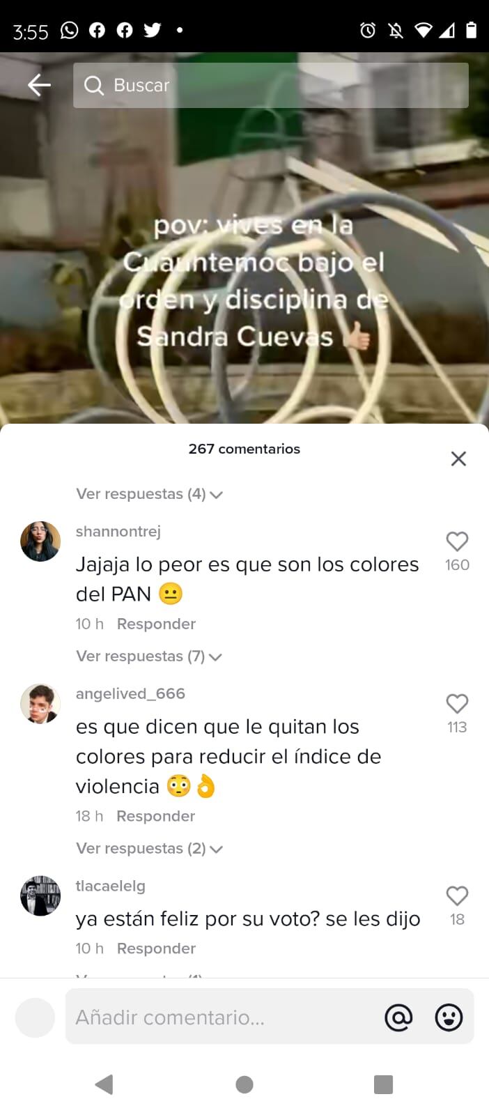 TikTok revela que juegos infantiles fueron pintados con colores de la alcaldía Cuauhtémoc