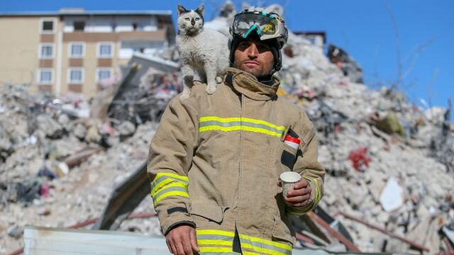 Enkaz, gato rescatado en Turquía, junto a el bombero Ali Cakas