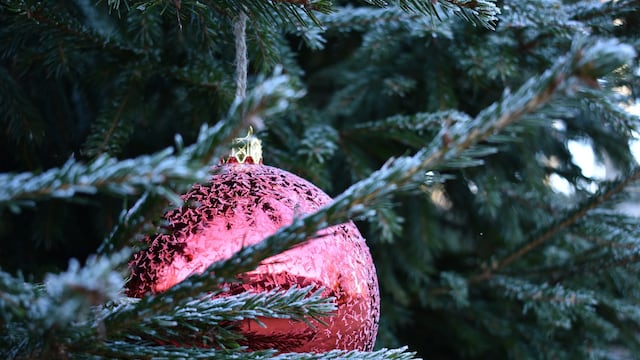 árbol de navidad natural
