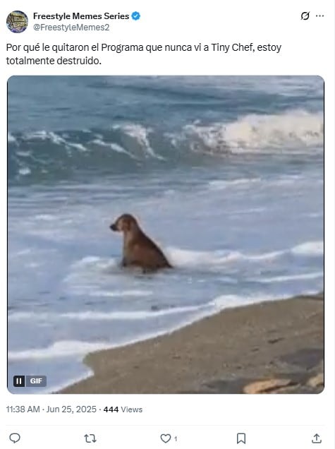 Memes de The Tiny Chef Show