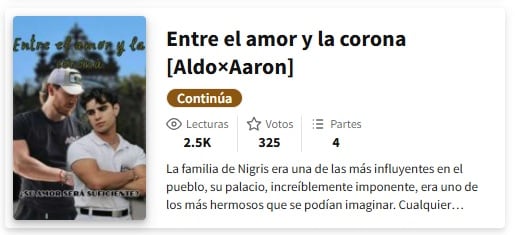 Libro de Aldo de Tamez de Nigris y Aarón Mercury en Wattpad por La casa de los famosos México 2025.