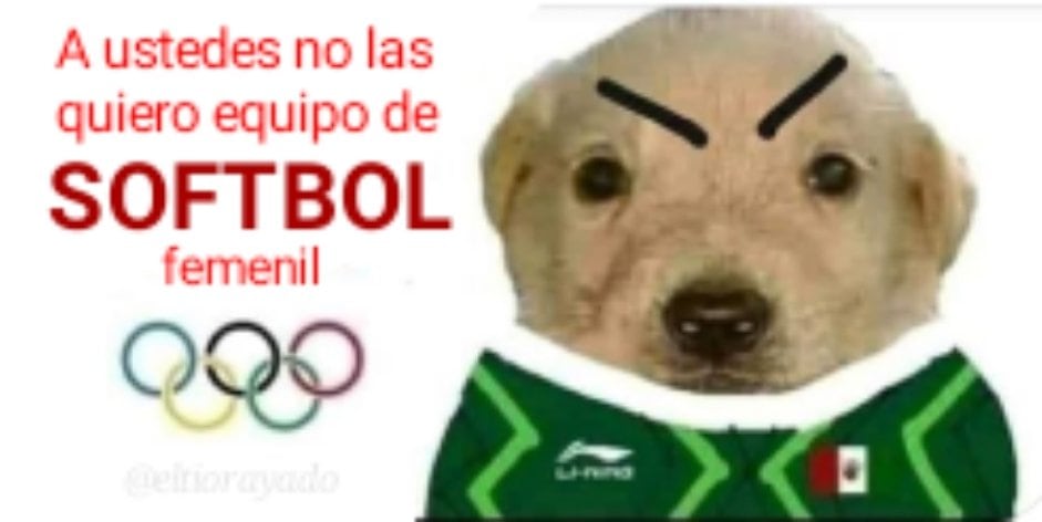 Meme perro 'te quiero mucho'
