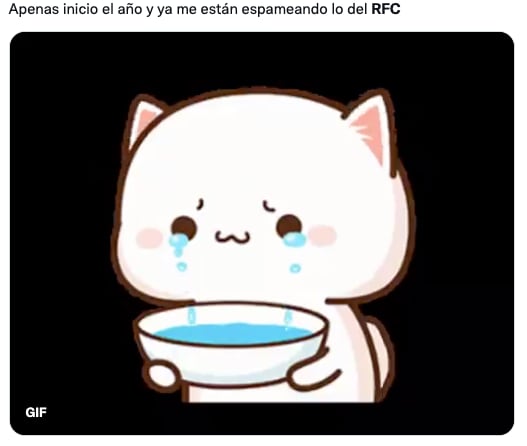 Memes sobre el RFC