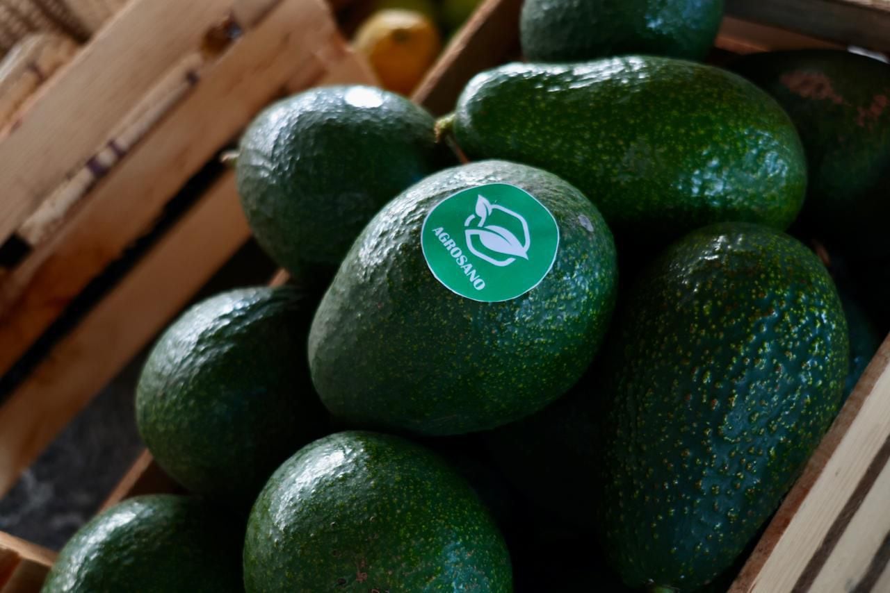 México impulsa exportaciones con trabajo digno con Certificado Laboral para la Agroexportación