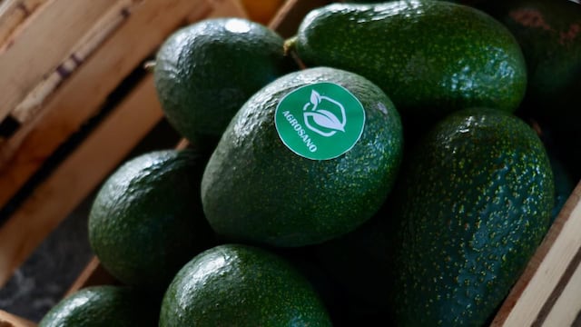México impulsa exportaciones con trabajo digno con Certificado Laboral para la Agroexportación