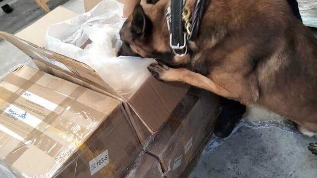 Semar detecta cargamento de fentanilo en el AICM