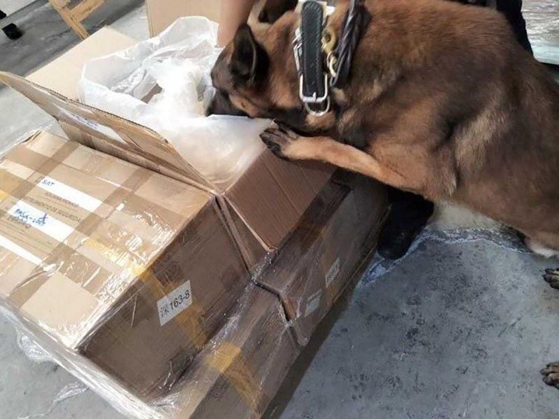 Semar detecta cargamento de fentanilo en el AICM