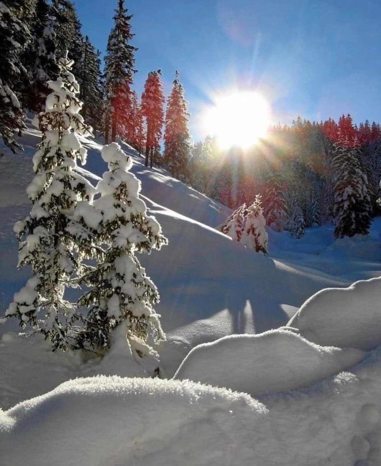 Las mejores fotos de la caída de nieve en Durango