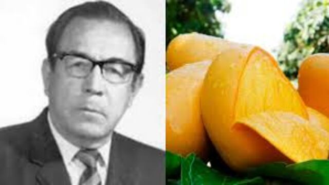 Don Ataúlfo Morales Gordillo, creador del extraordinario mango