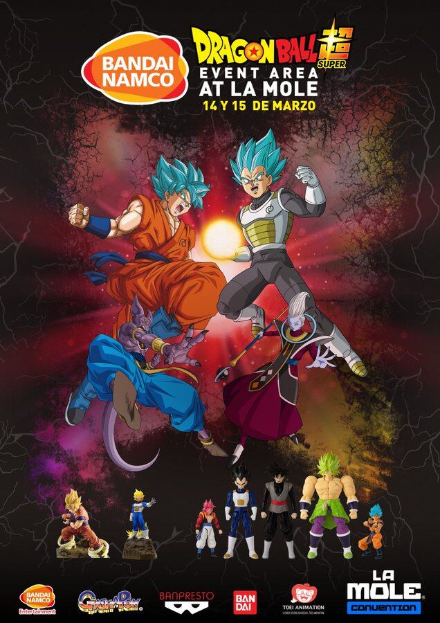 Dragon Ball Experience